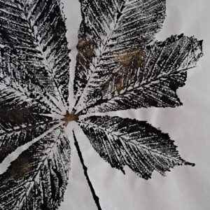 Catherine Belleil Yotaku