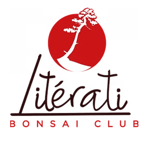 Literati Bonsai Club