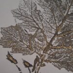 Catherine Belleil Yotaku