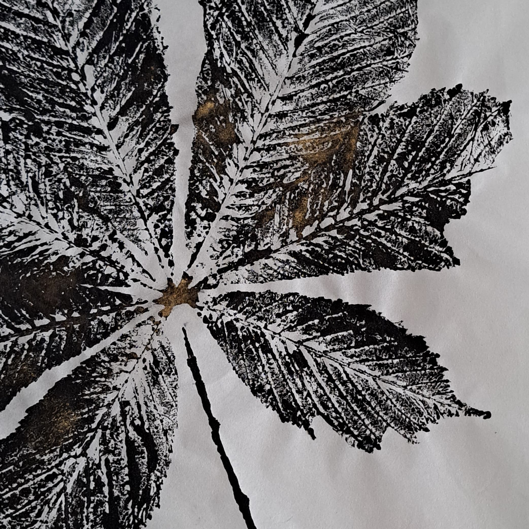 Catherine Belleil Yotaku